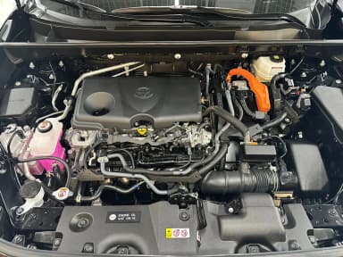 RAV4 5th Generation