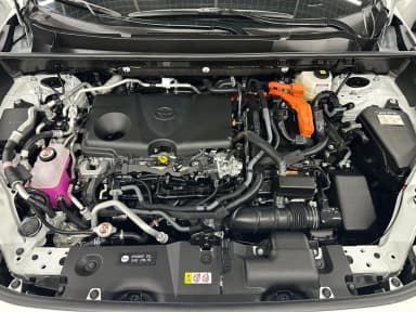 RAV4 5th Generation