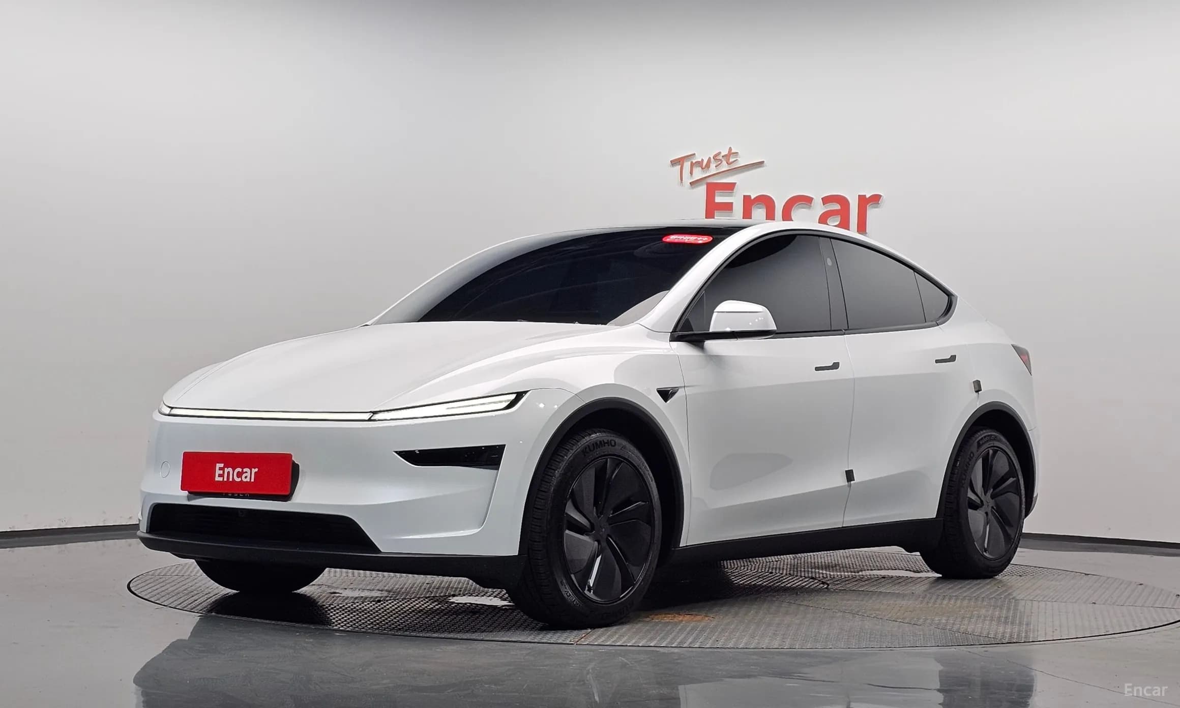 Model Y