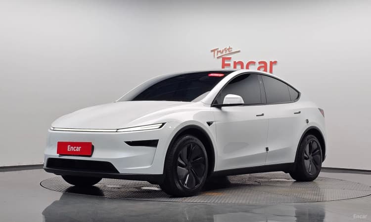 Model Y