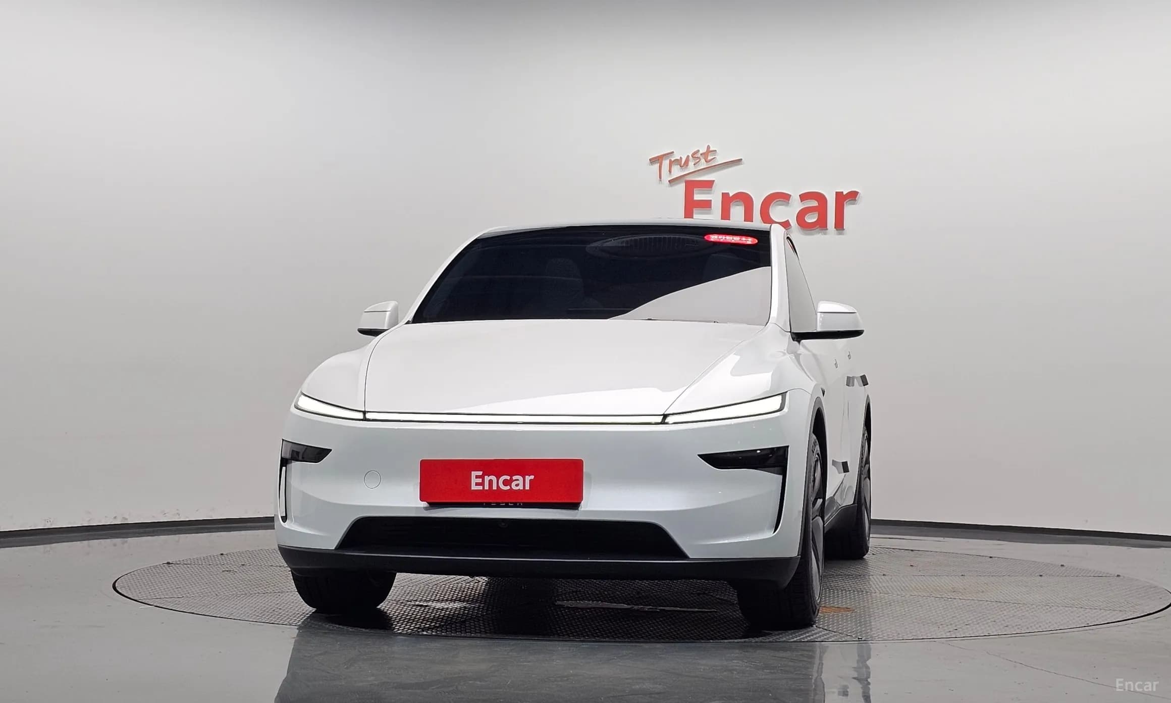 Model Y