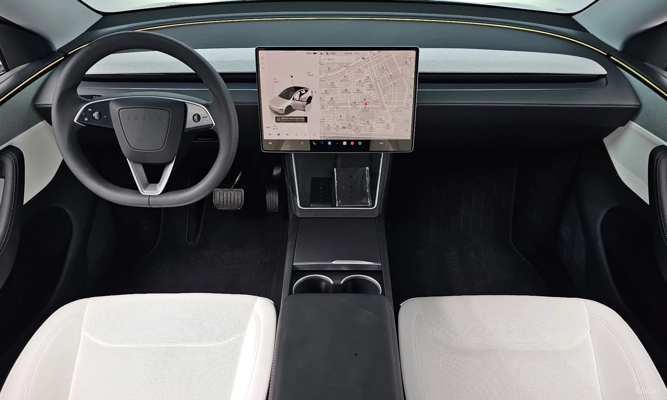 Model Y