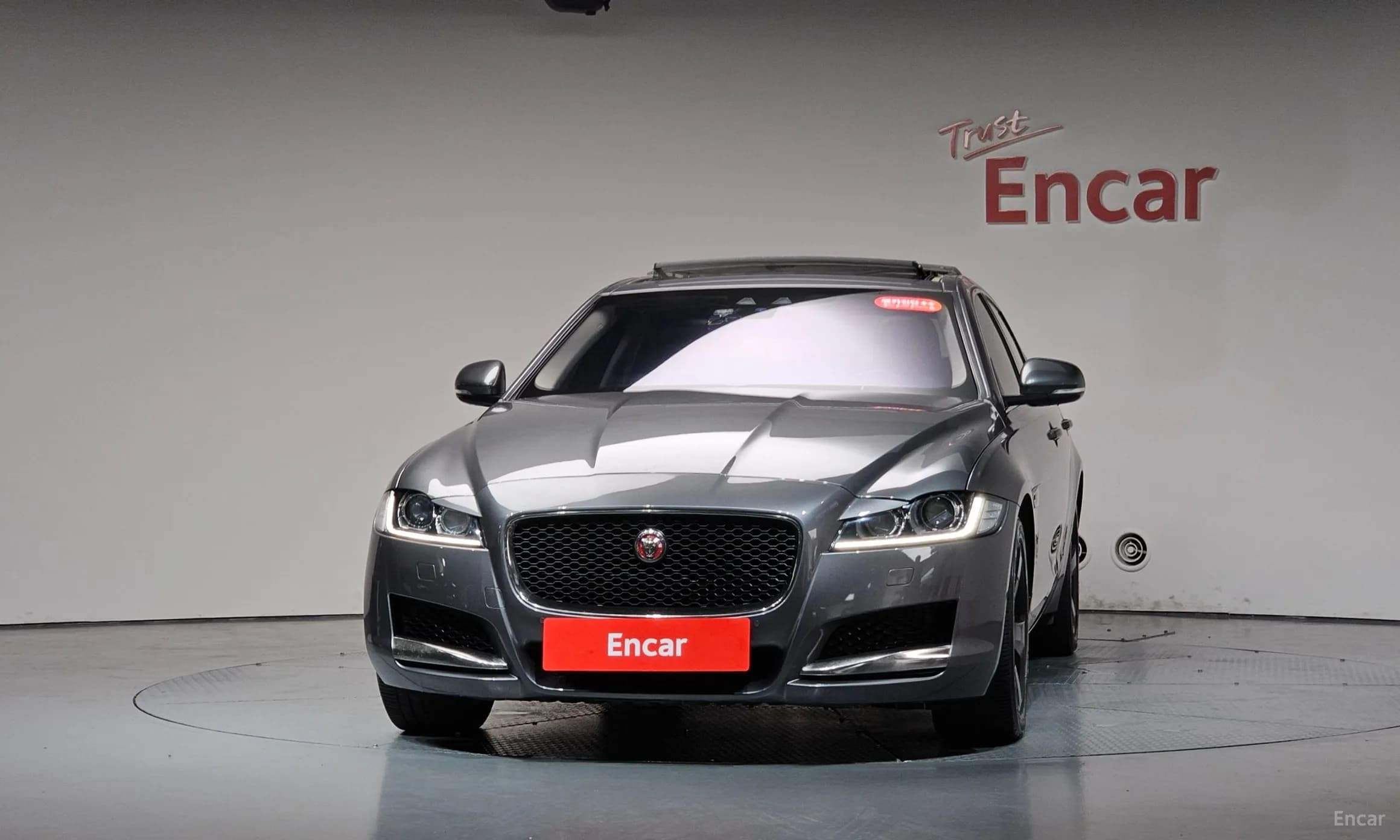 XF (x260)