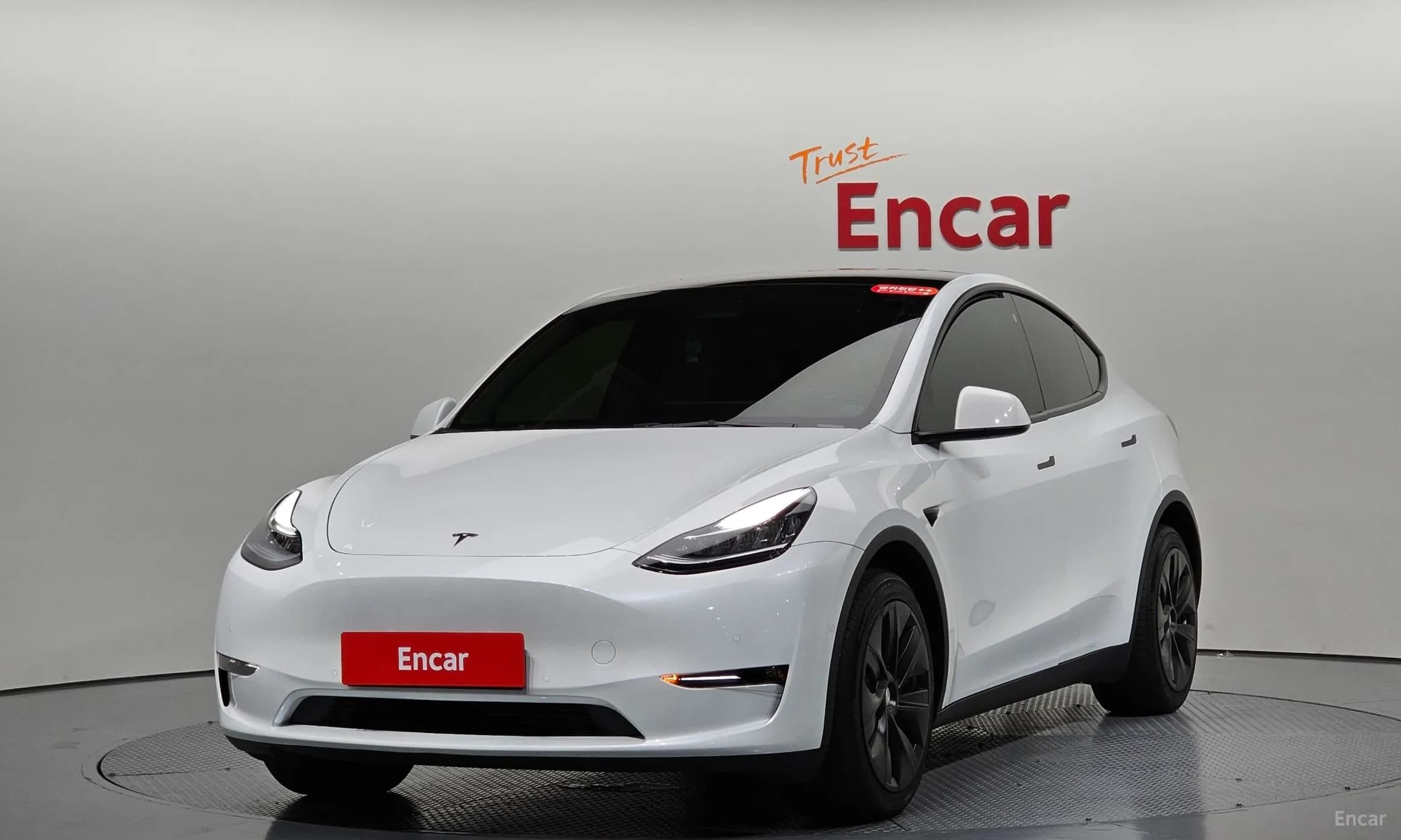 Model Y