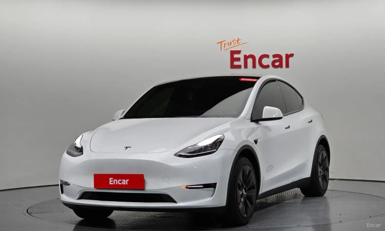 Model Y