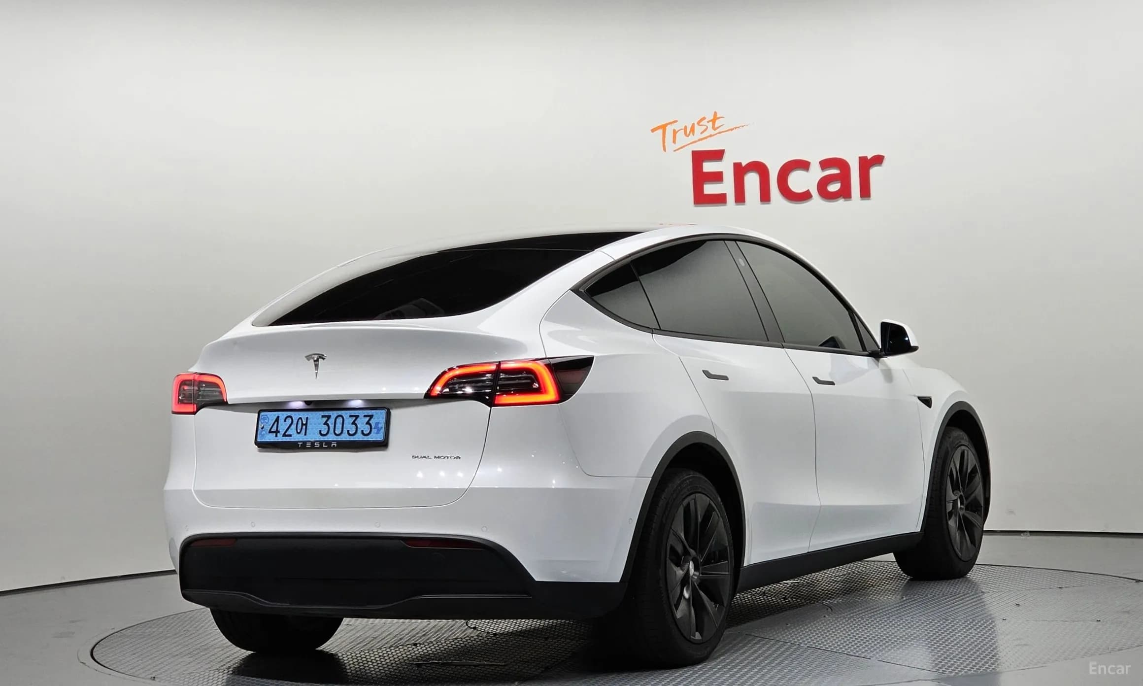 Model Y