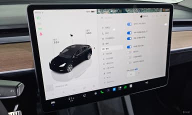 Model Y