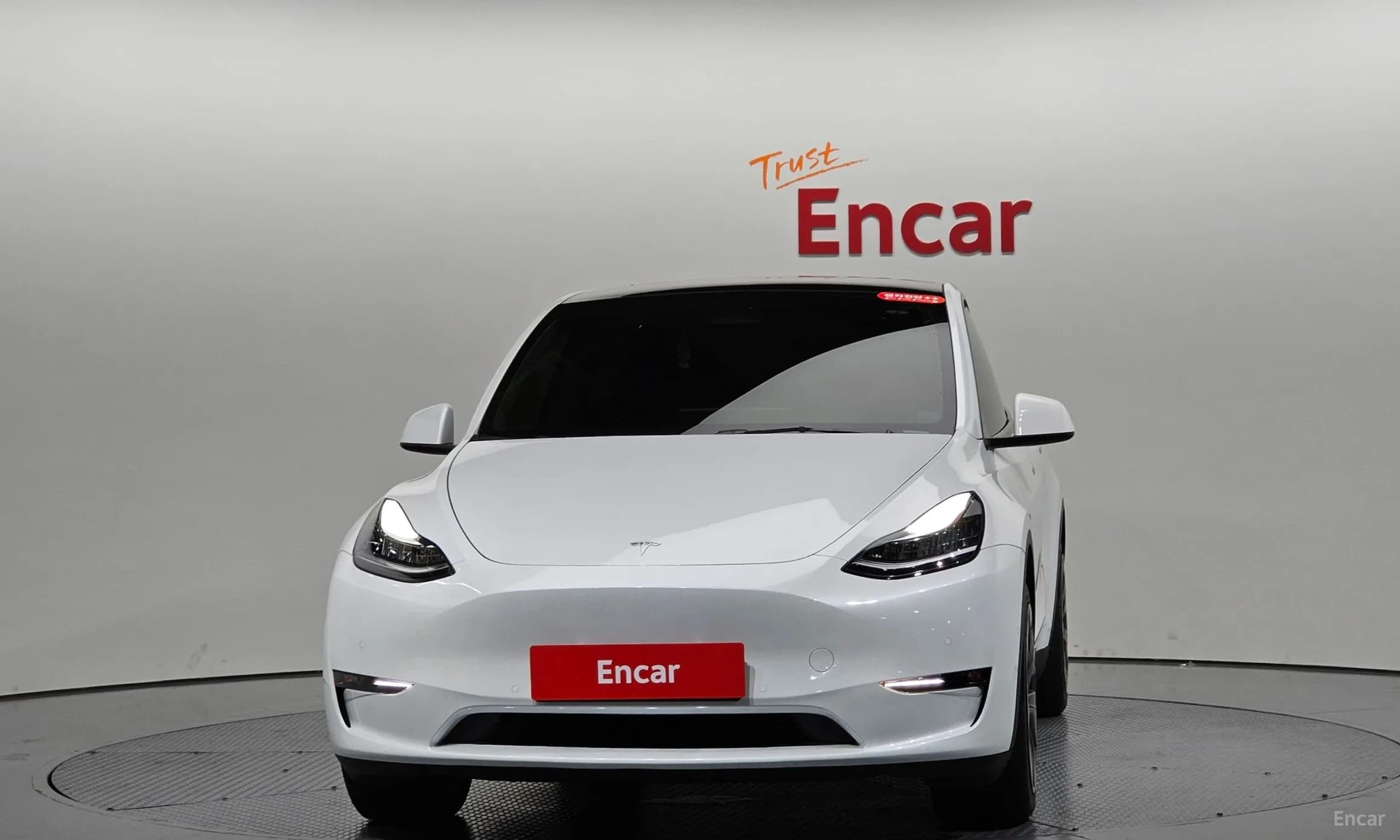 Model Y