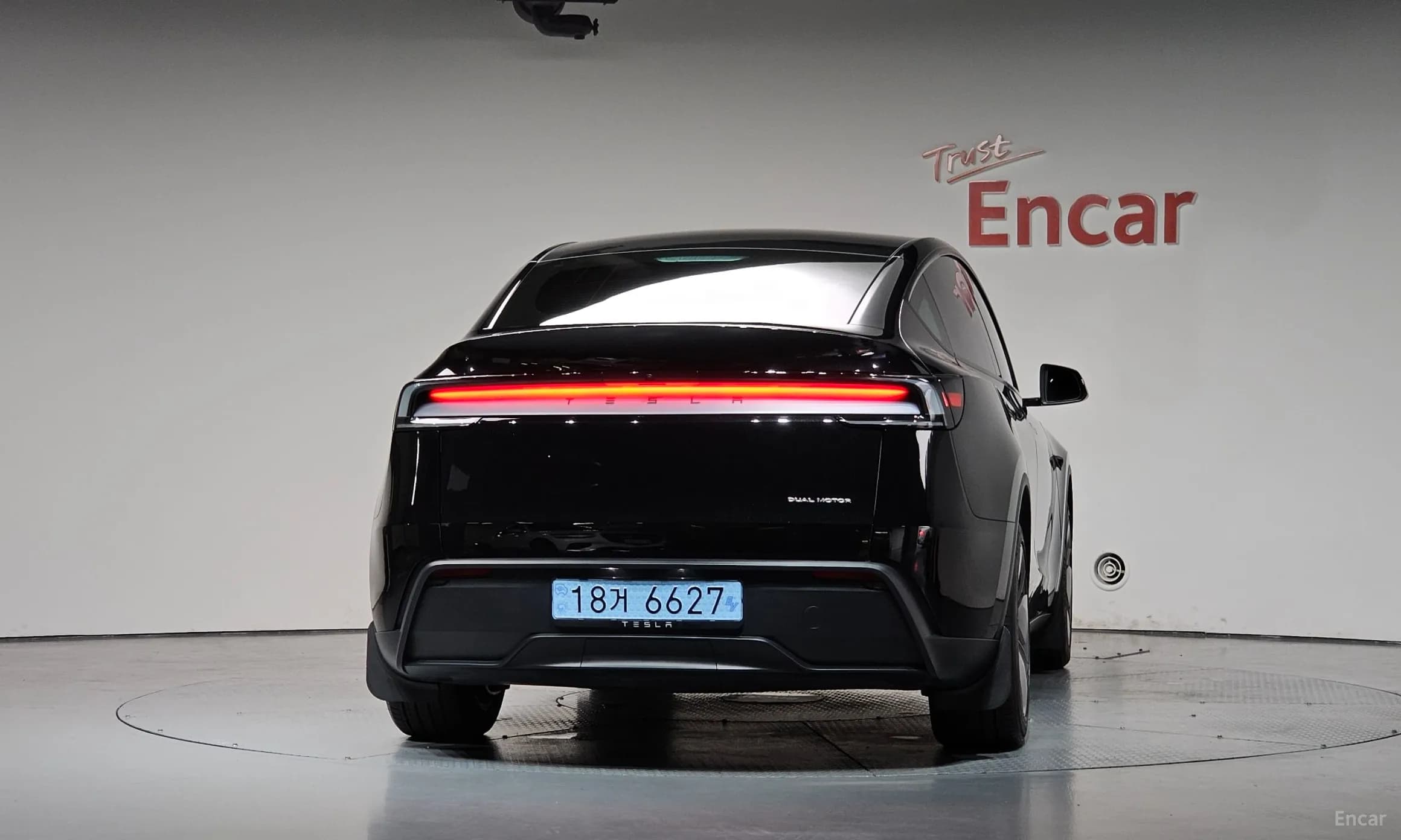 Model Y
