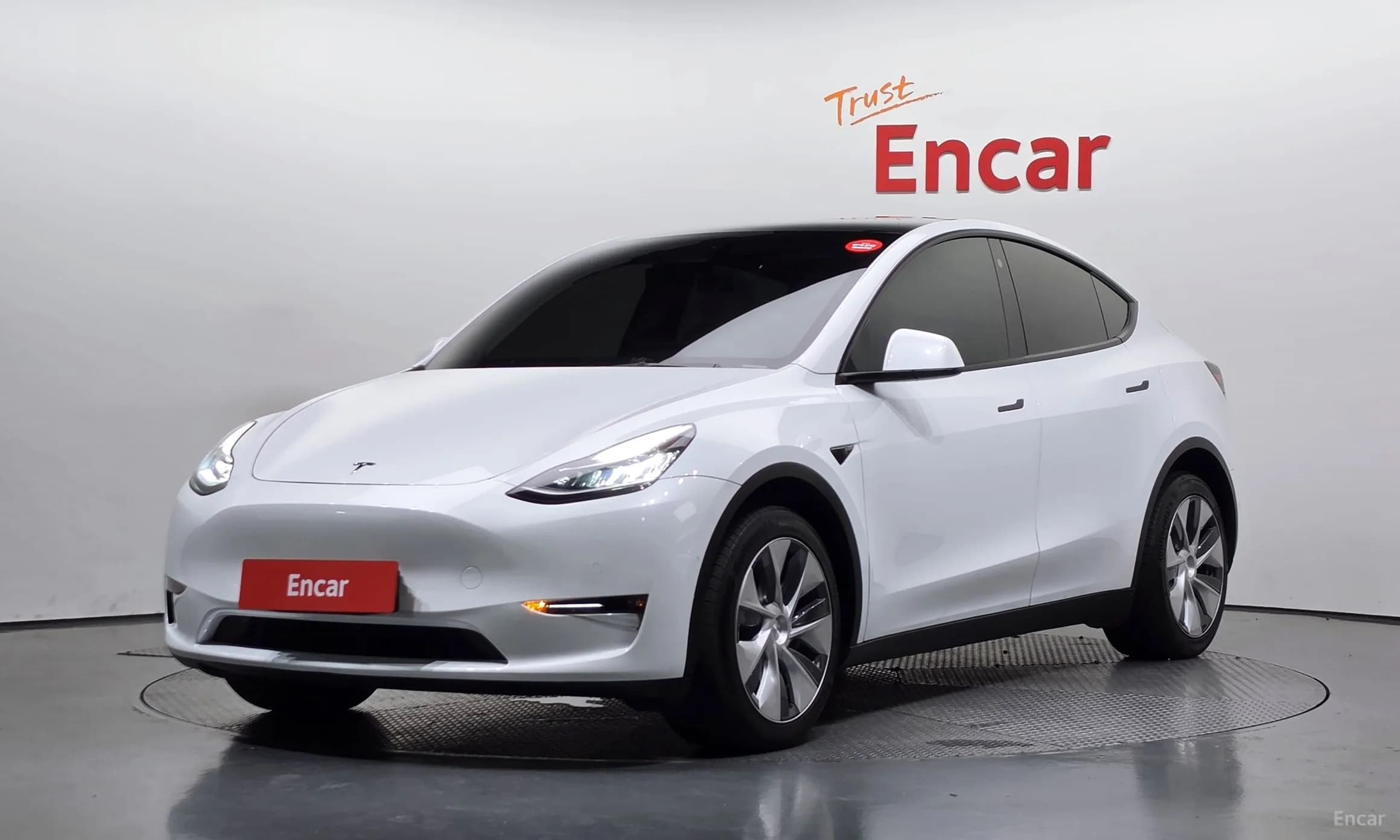 Model Y
