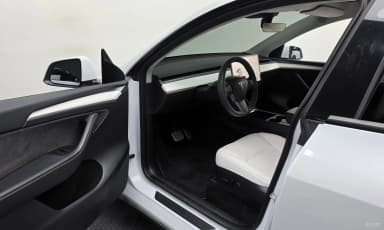 Model Y