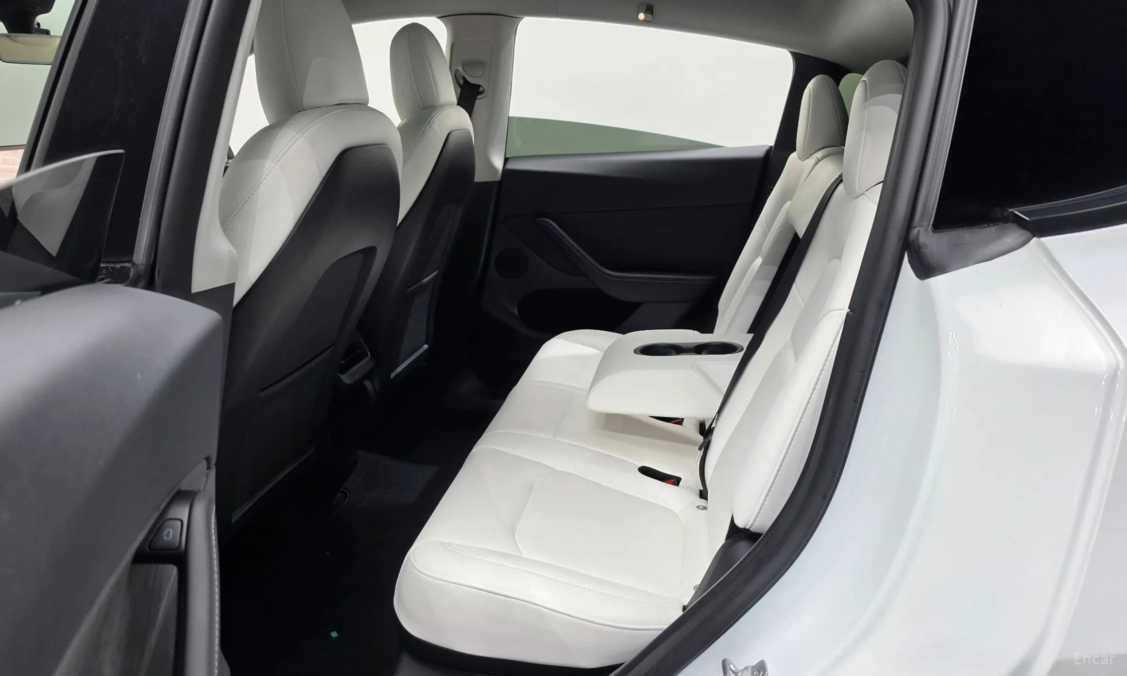 Model Y
