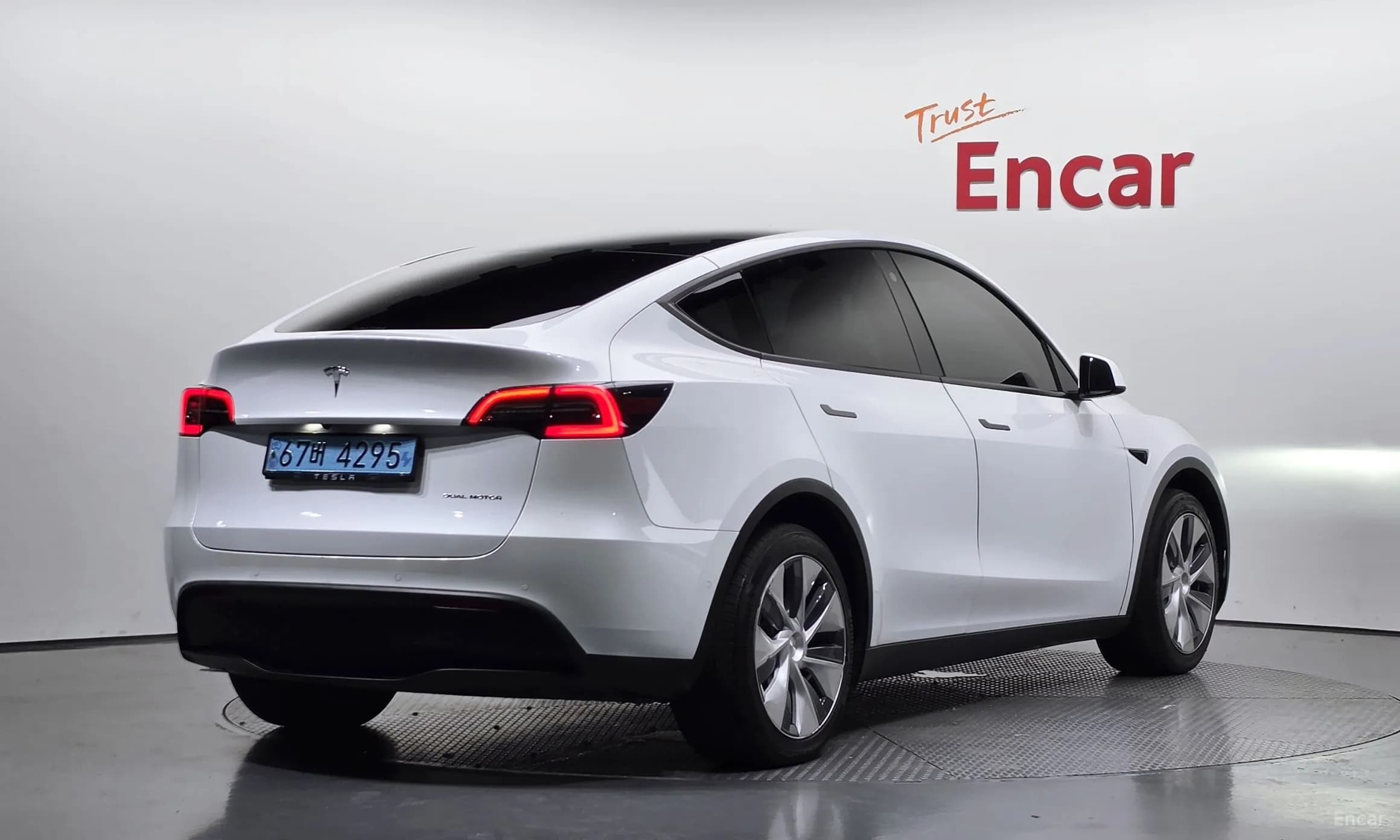 Model Y
