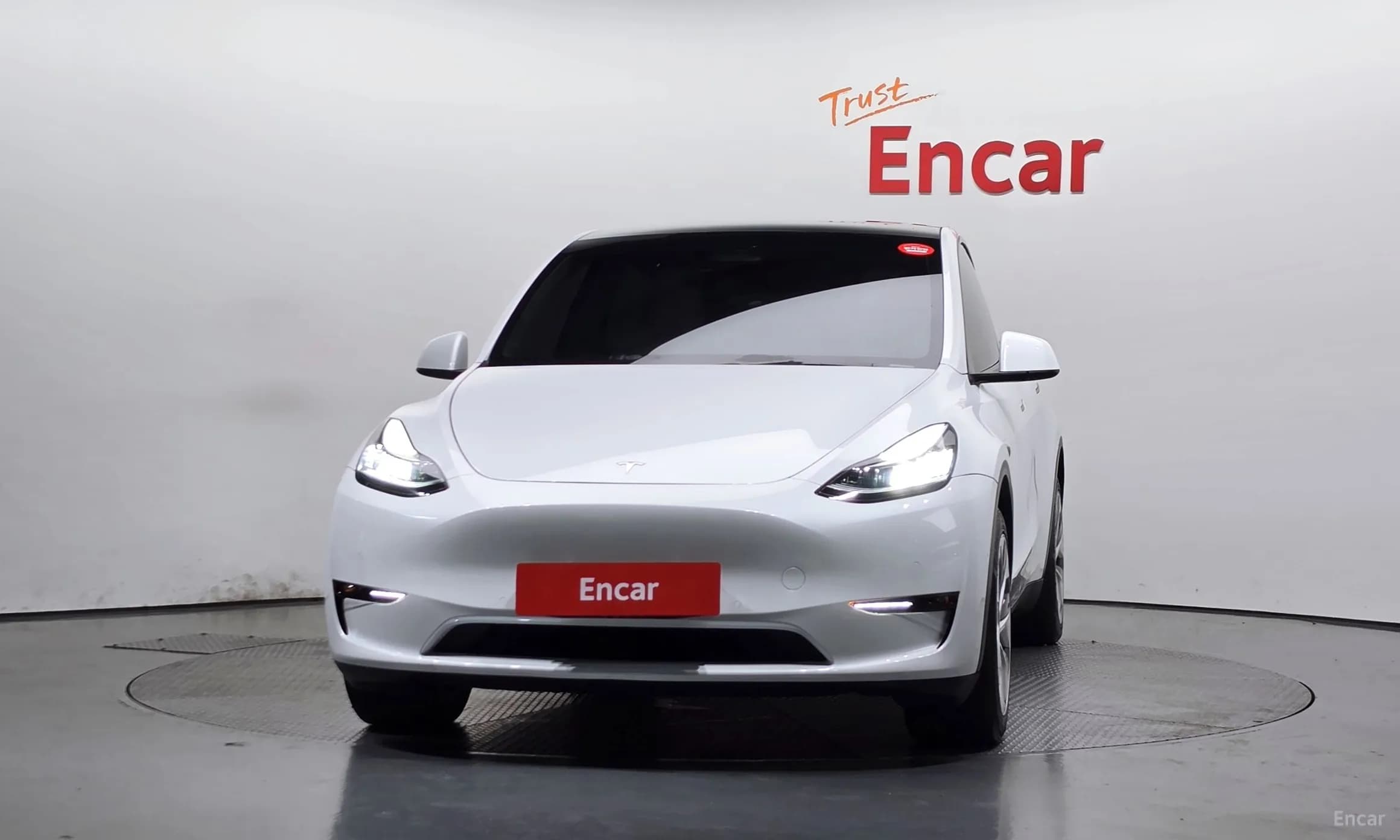 Model Y