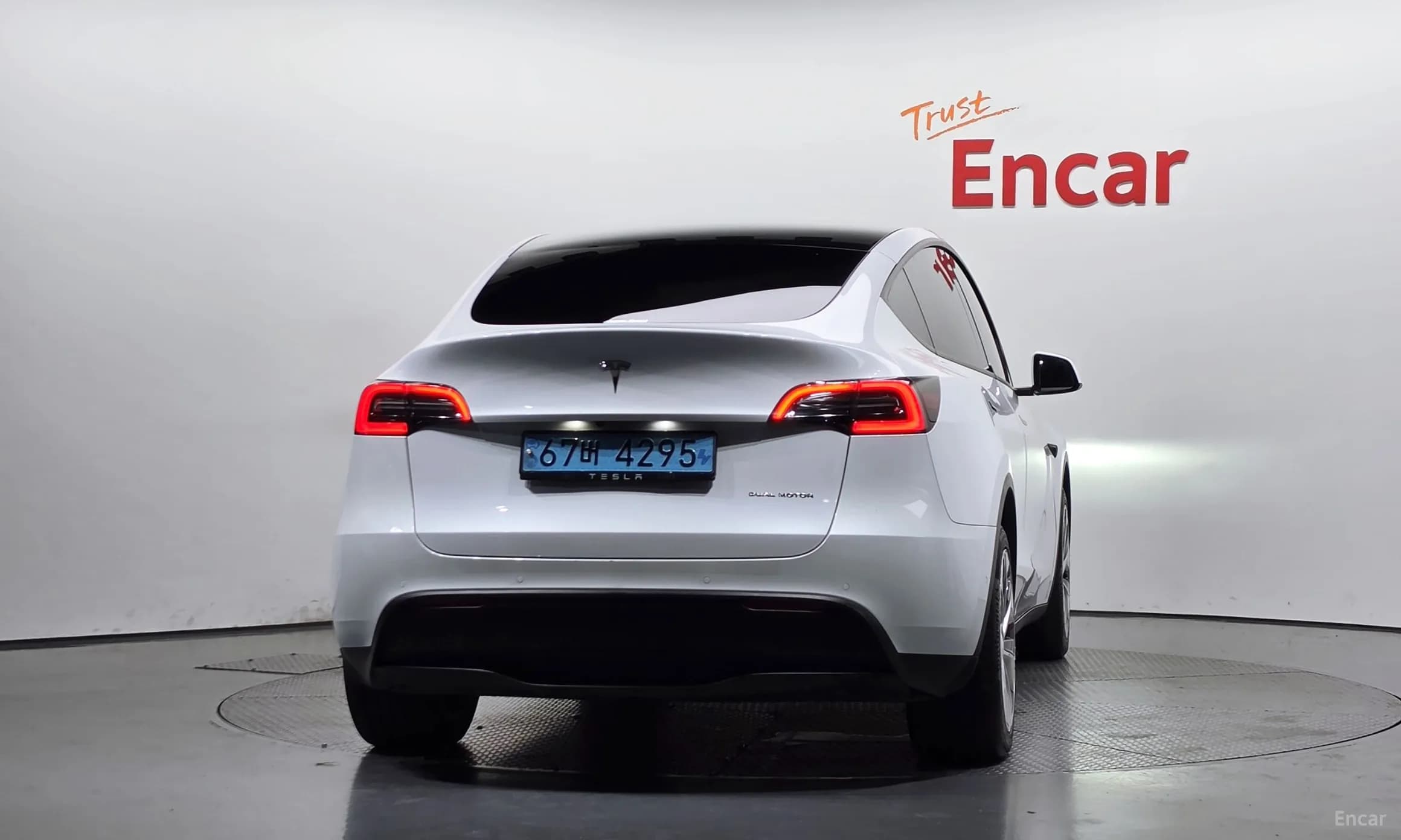 Model Y