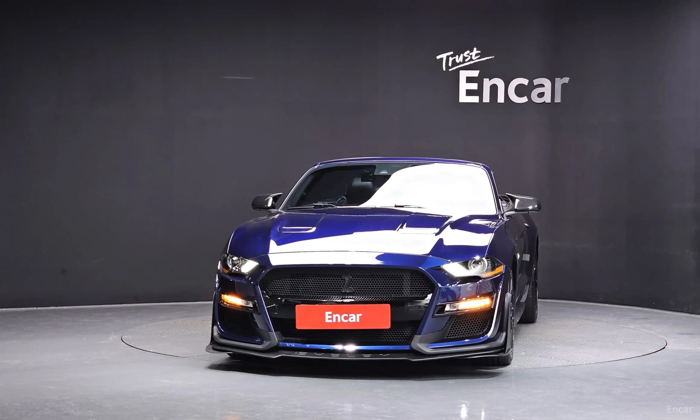 Mustang