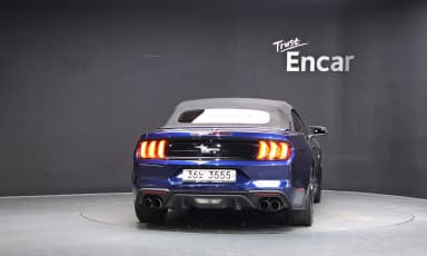 Mustang