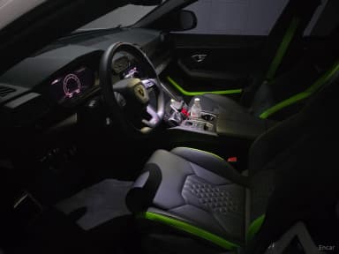 Urus