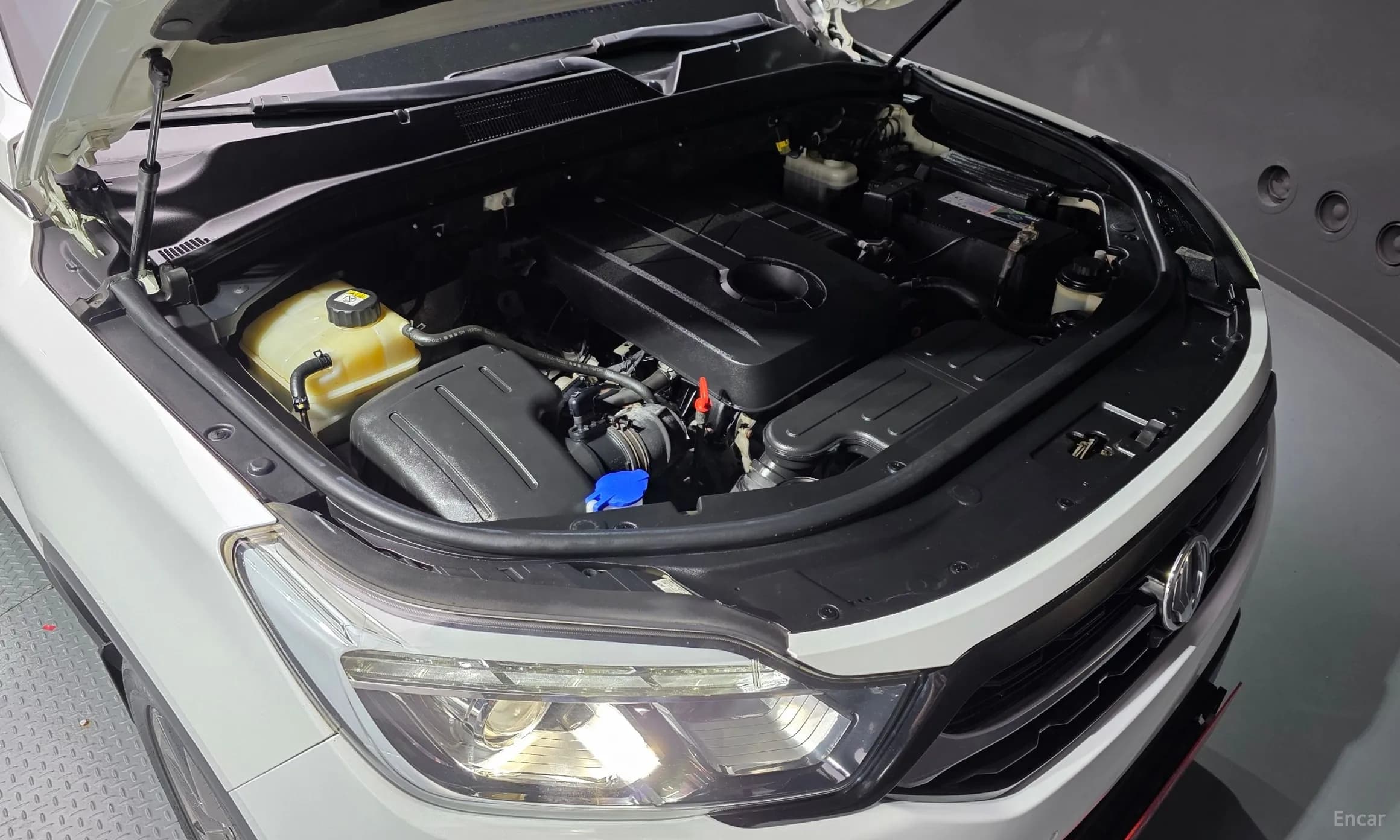 Rexton Sports