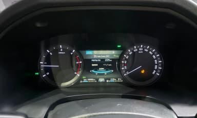 Rexton Sports
