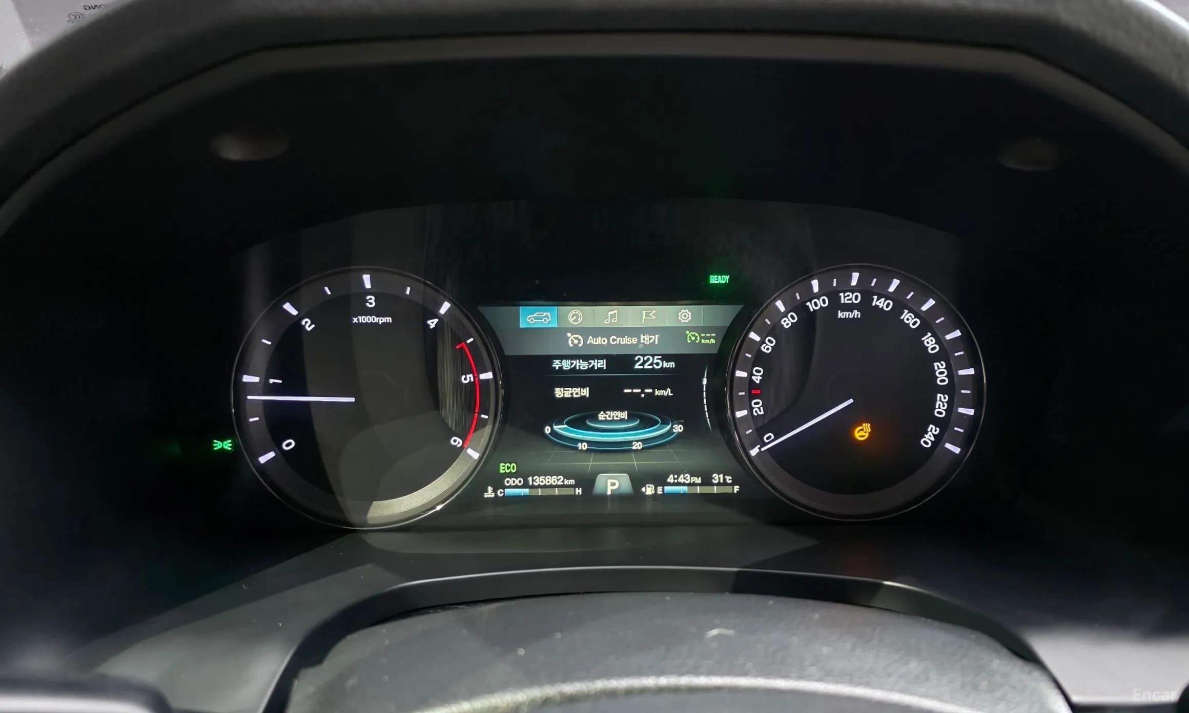 Rexton Sports
