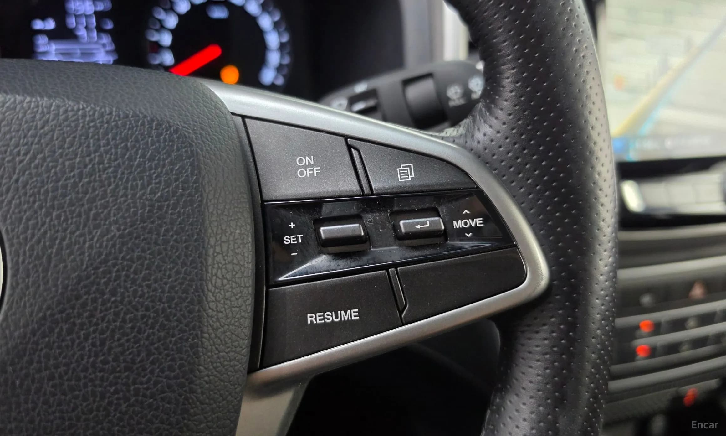 Rexton Sports