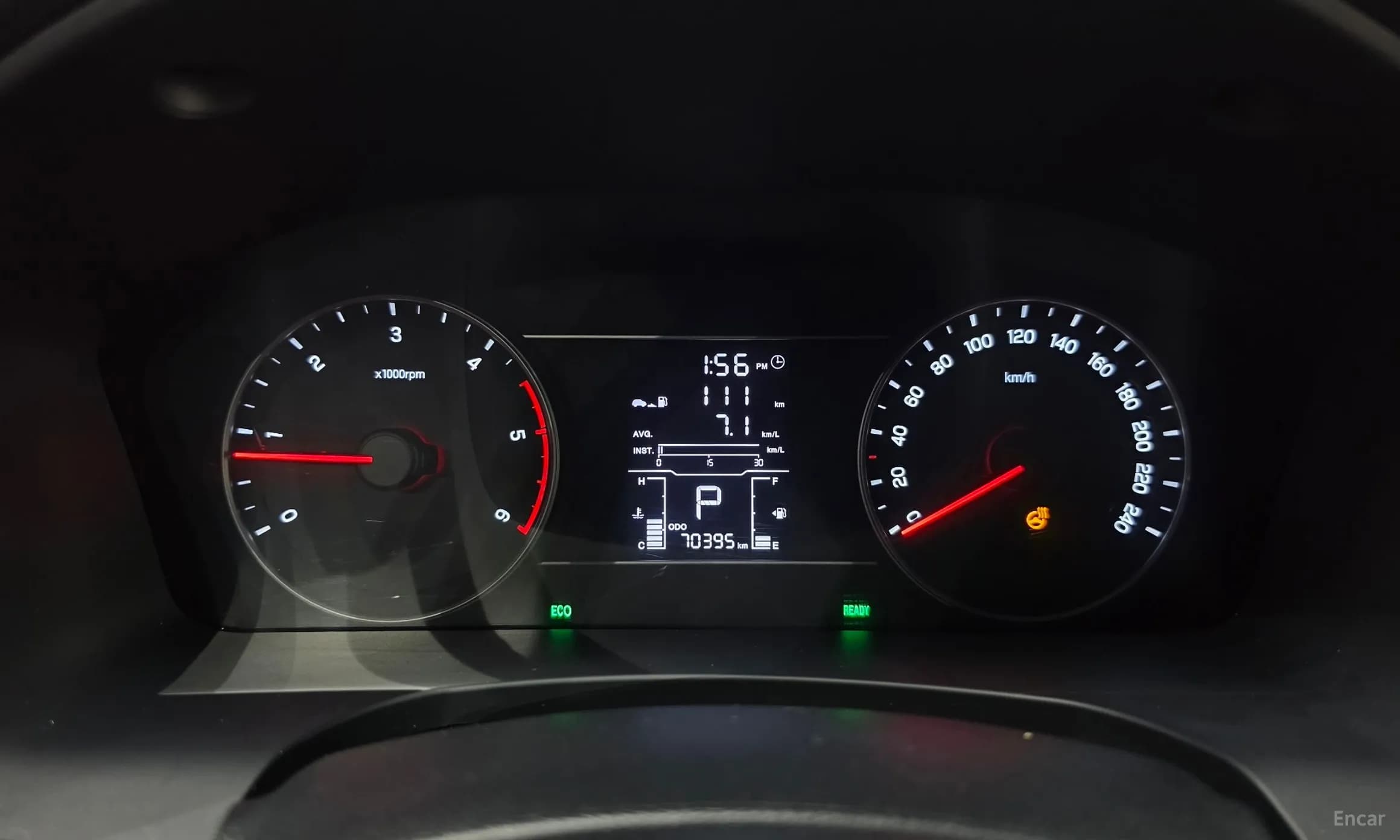 Rexton Sports