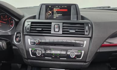 1 Series (F20)