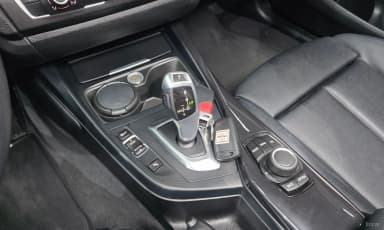 1 Series (F20)