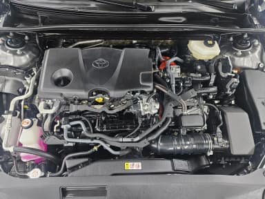 Camry (XV80)