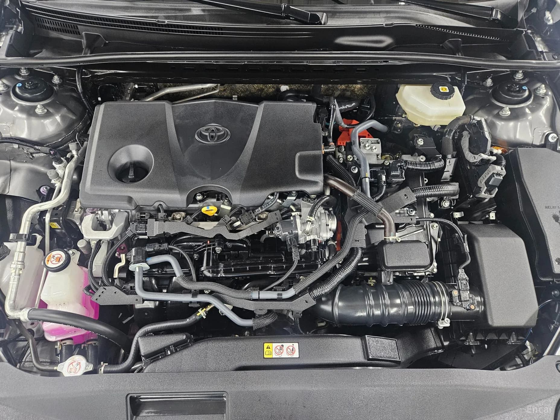 Camry (XV80)