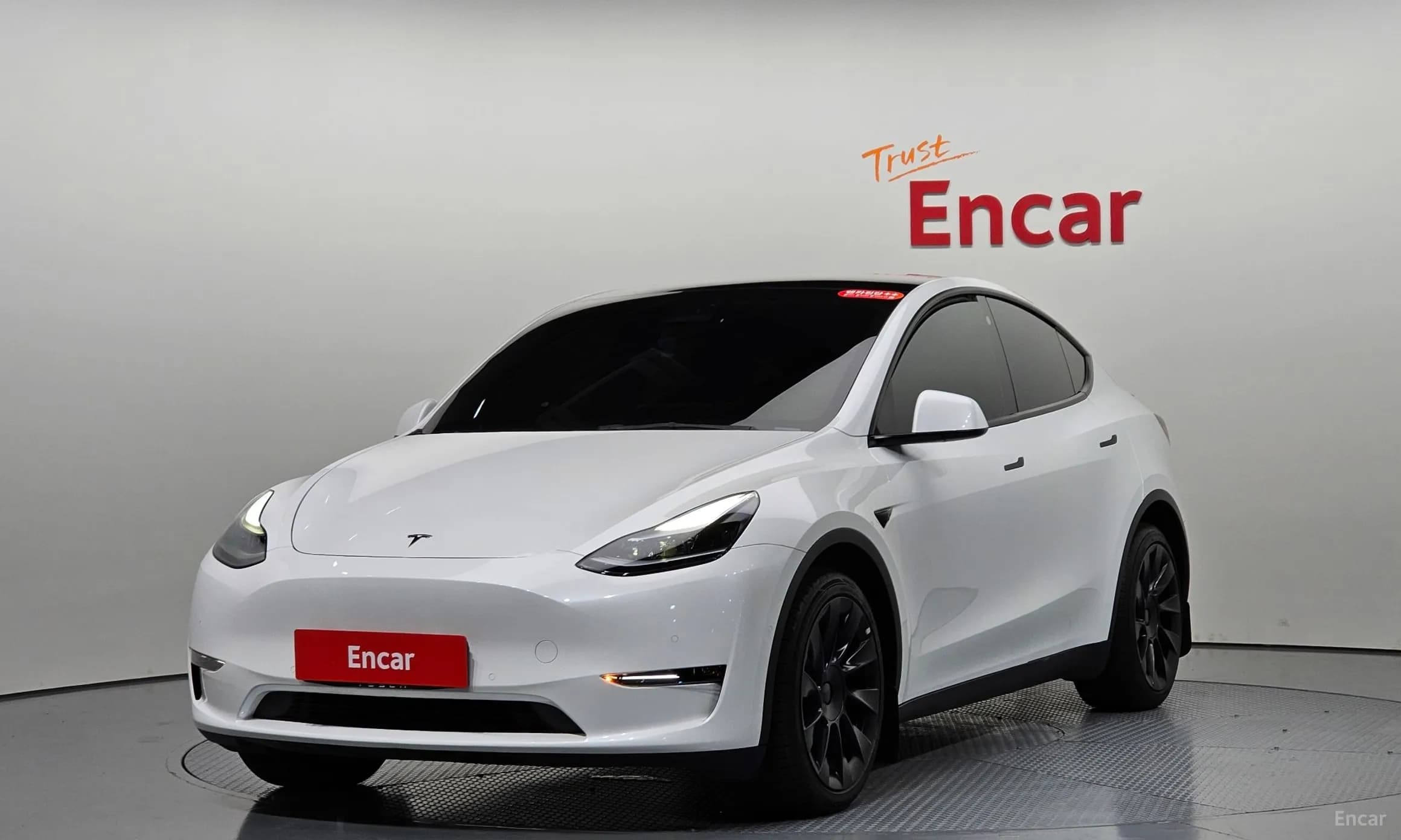 Model Y