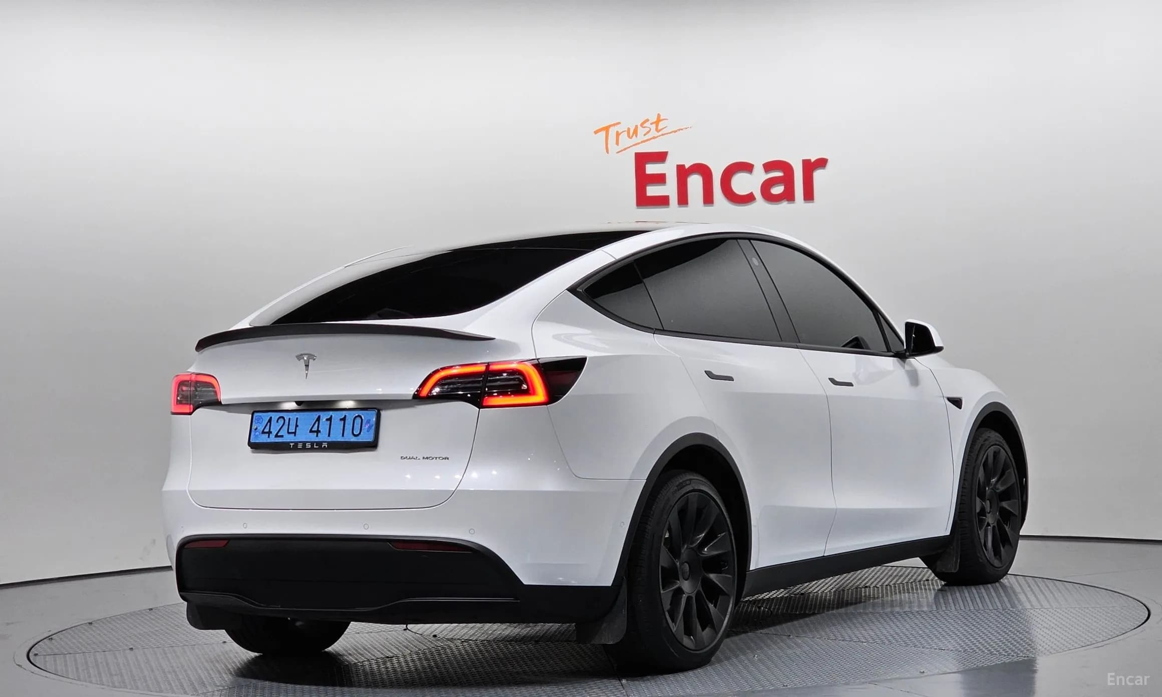 Model Y