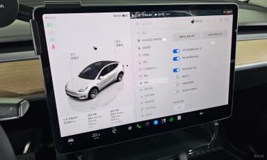 Model Y