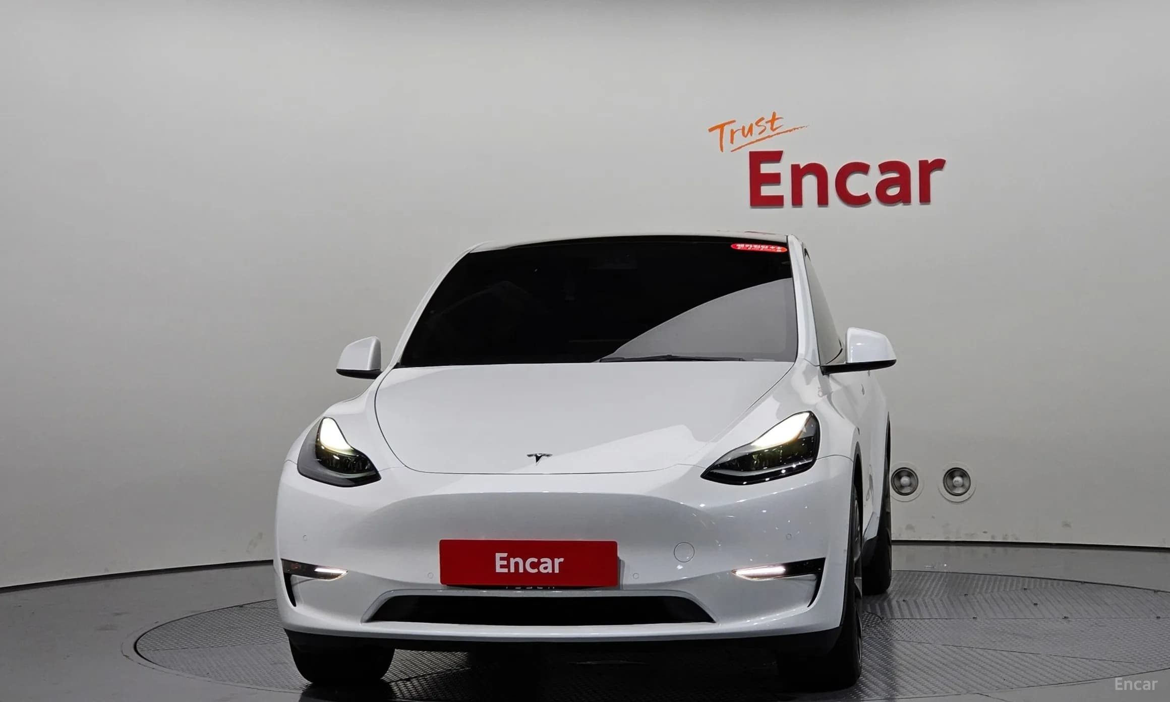 Model Y