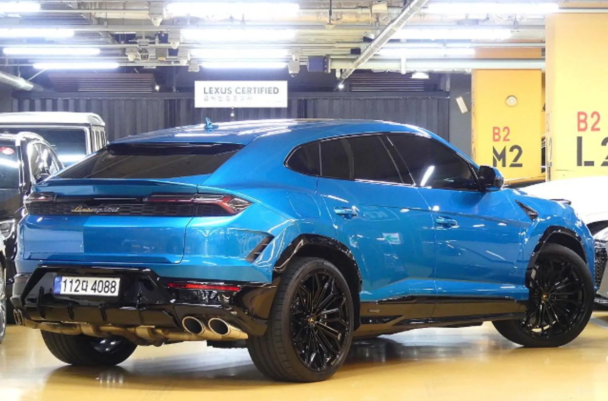 Urus