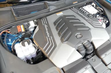 Urus