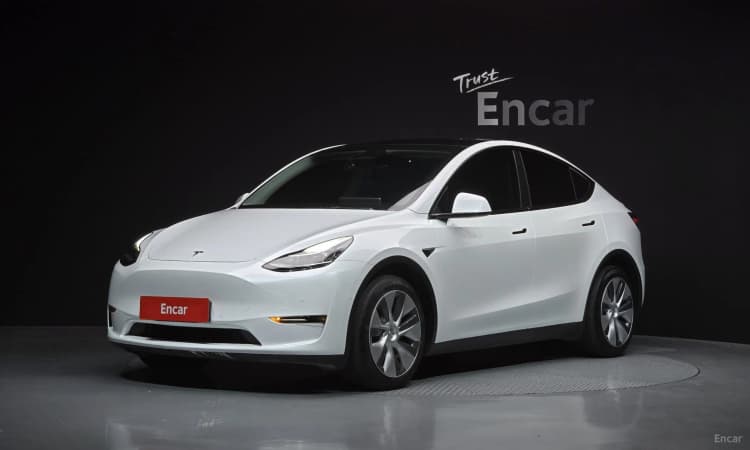 Model Y