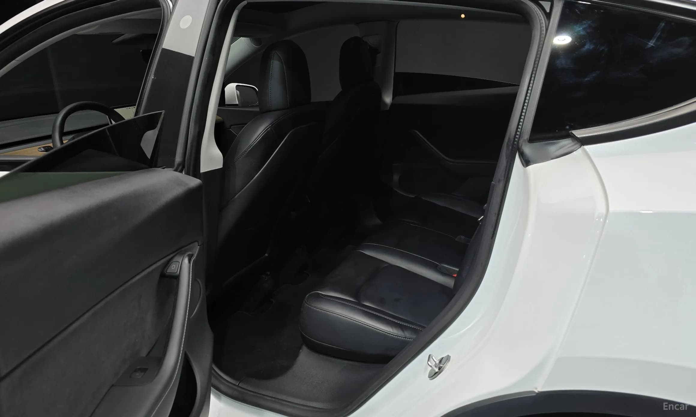 Model Y