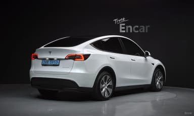 Model Y