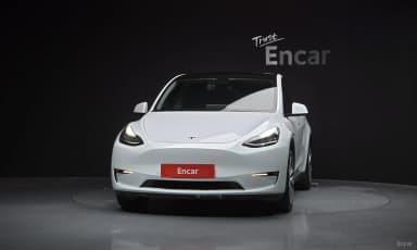 Model Y
