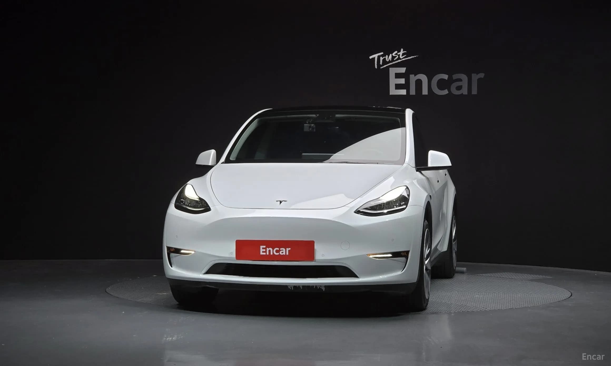 Model Y