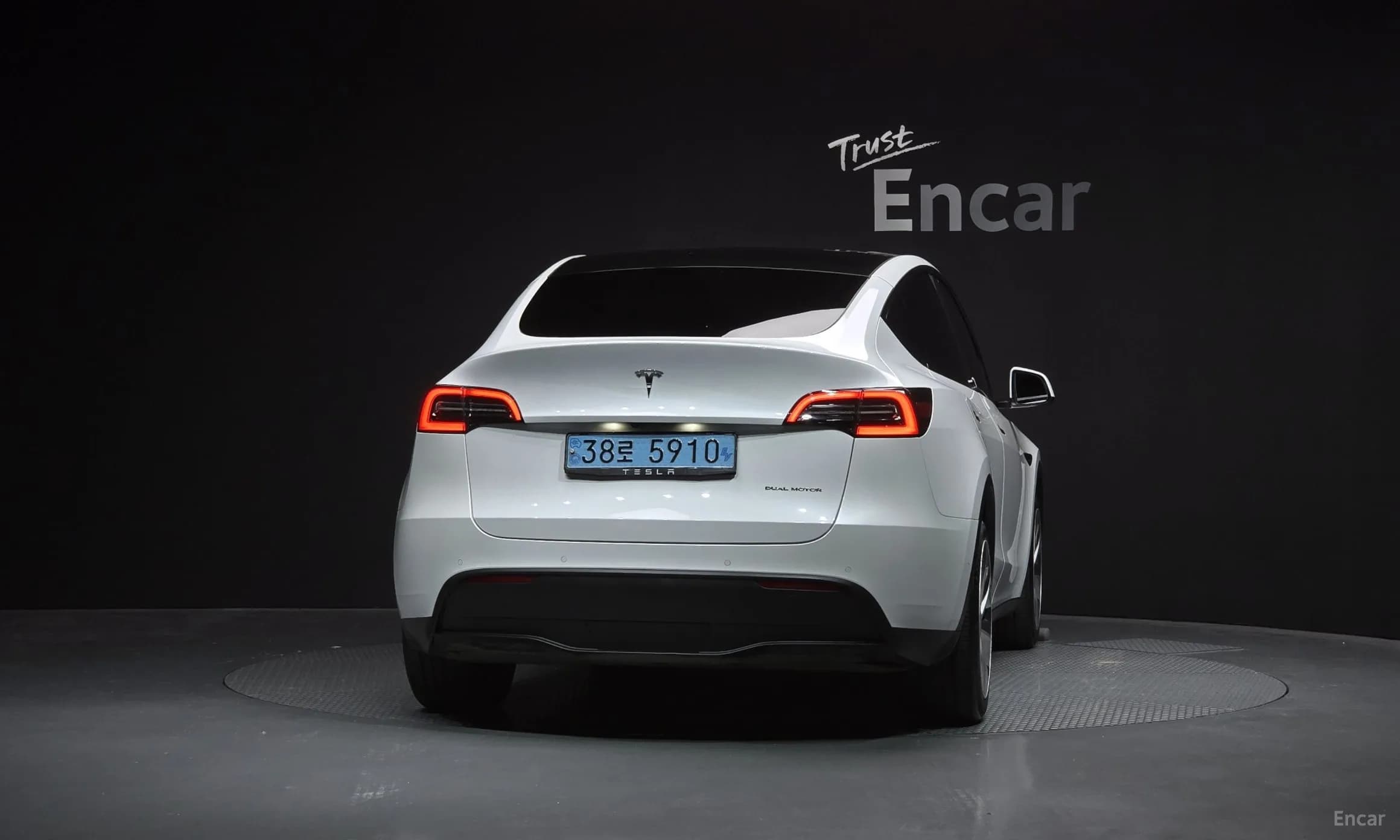 Model Y