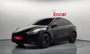 Model Y