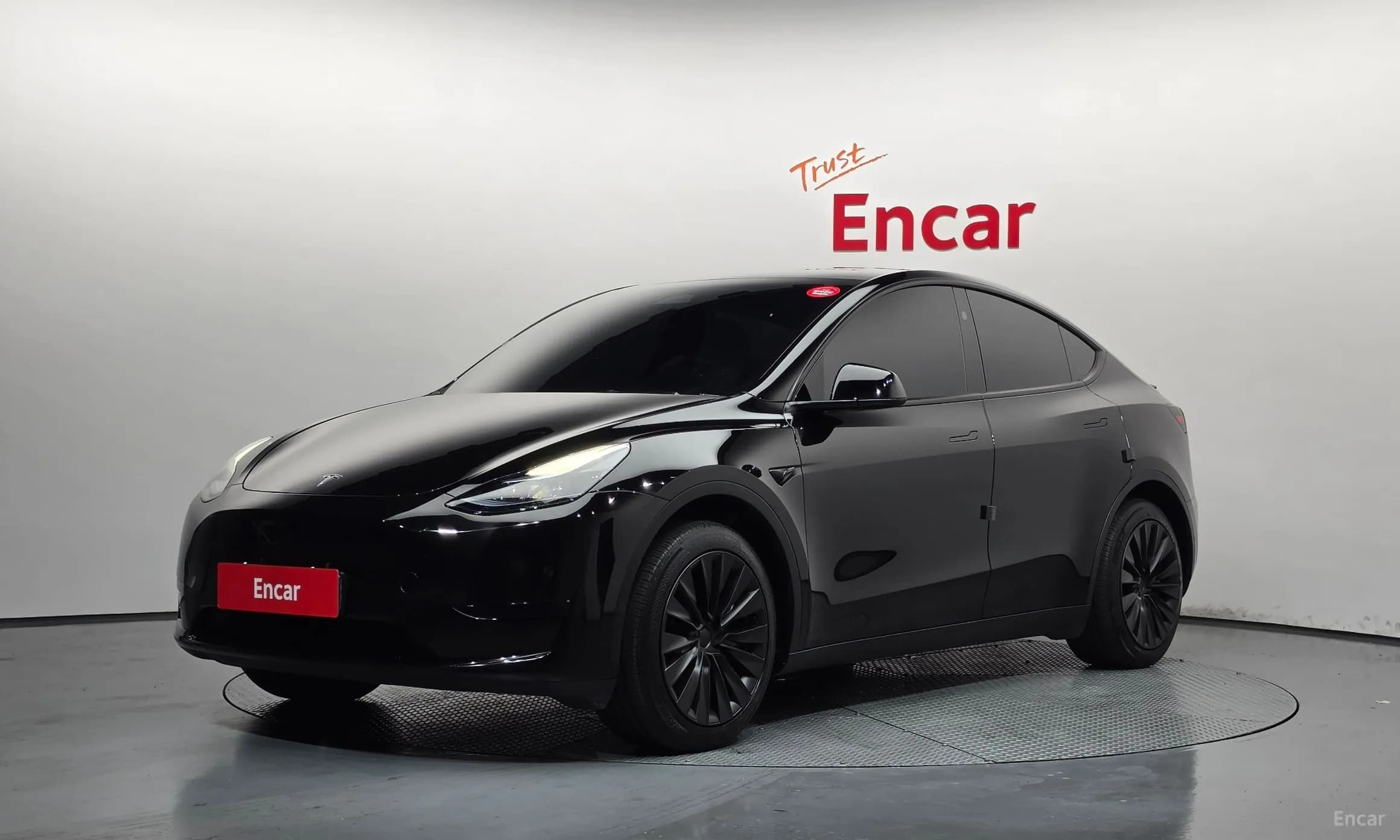 Model Y