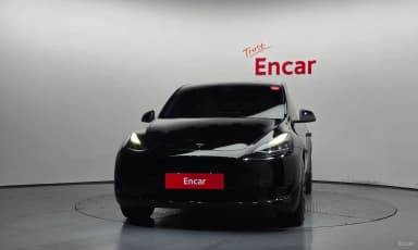 Model Y