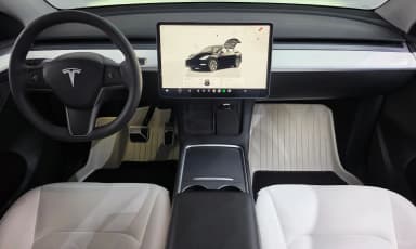 Model Y
