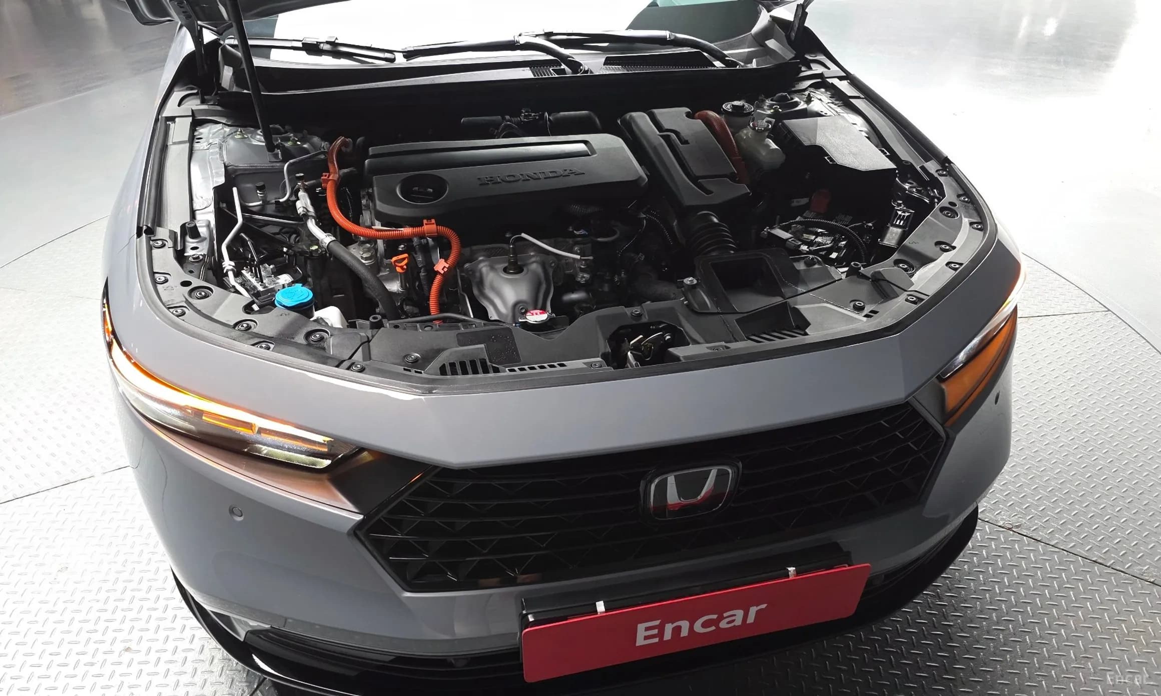 Accord 11th Generation