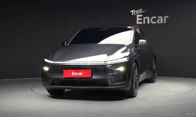 Model Y