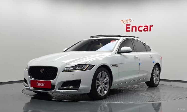 XF (x260)